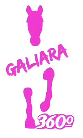 Galiara360 Logo